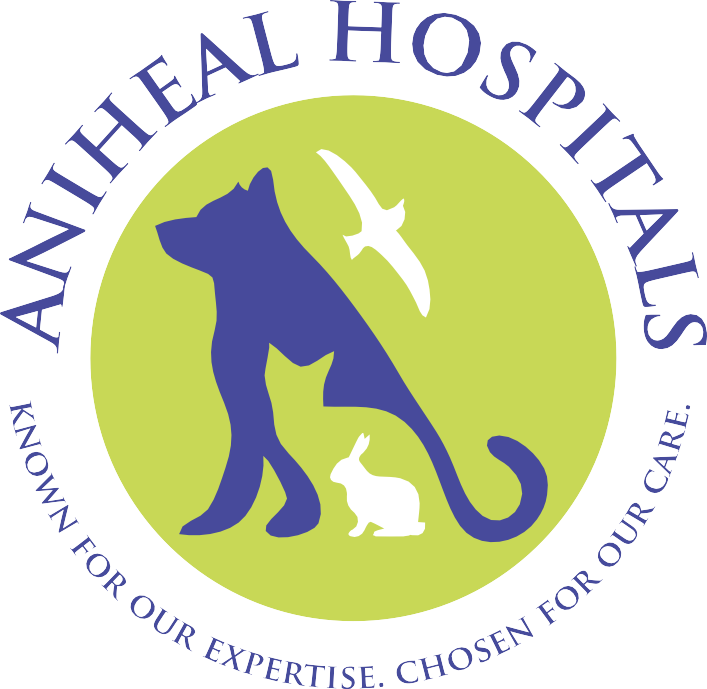 aniheal-logo