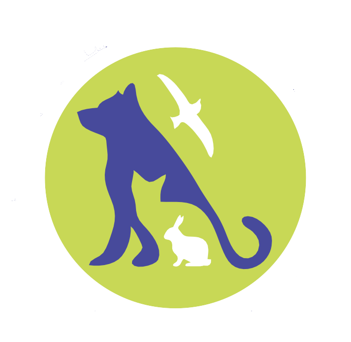 aniheal-logo