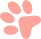 dog paw