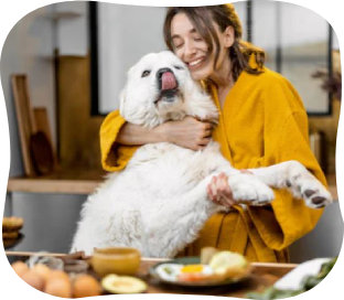 Homemade Meals For Your Dog