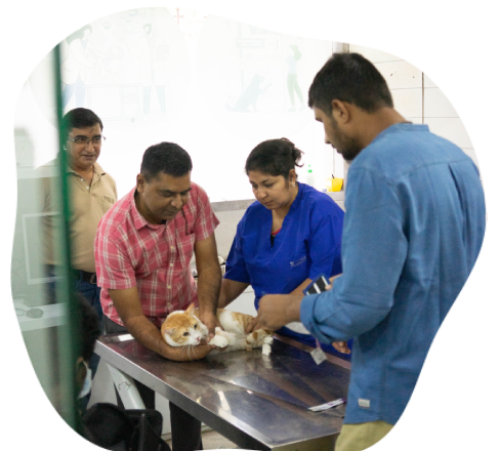 team aniheal clinical centre