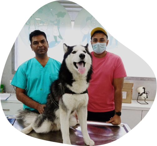 pet emergencies aniheal clinical centre