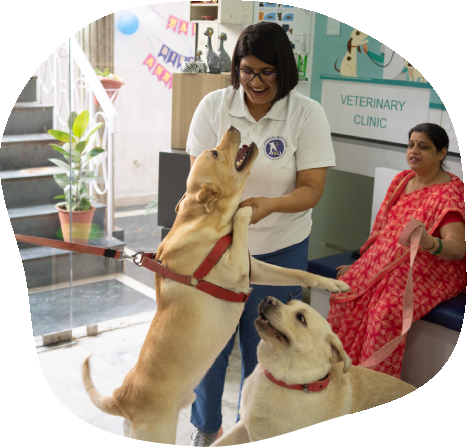 team aniheal hospital