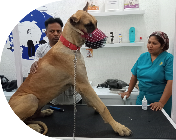 aniheal clinic image