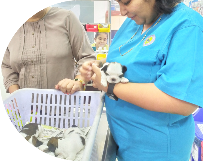 aniheal clinic image